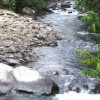 Mountain Stream